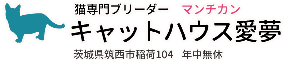 猫専門ブリーダー マンチカン キャットハウス愛夢 茨城県筑西市稲荷104　年中無休